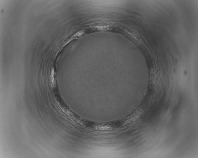 X0000057080650200509091249