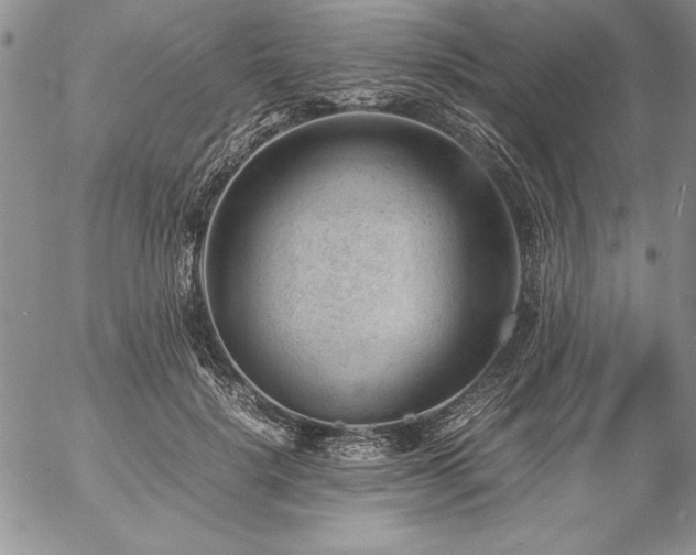 X0000057080652200509091249