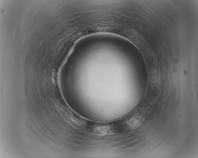 X0000057080653200509091249