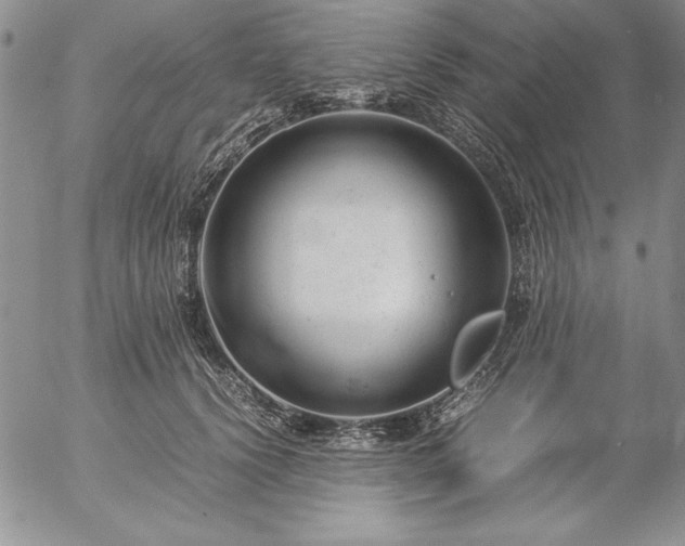 X0000057080656200509091249