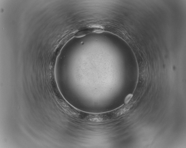 X0000057080658200509091249