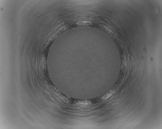 X0000057080659200509091249