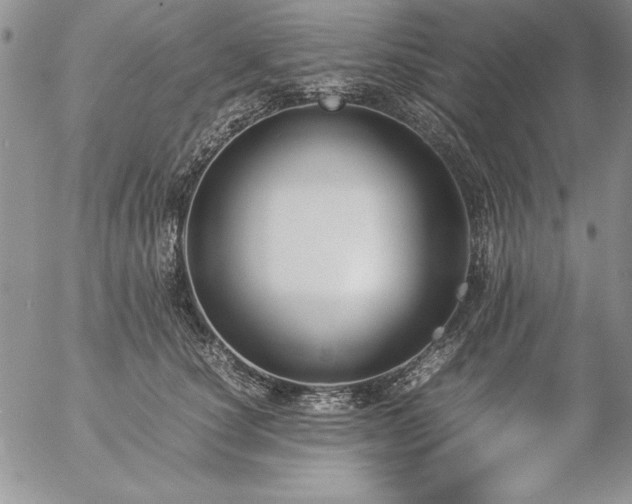 X0000057080660200509091249