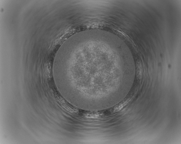 X0000057080661200509091249