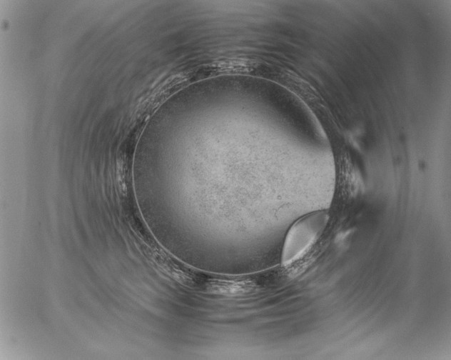 X0000057080663200509091249