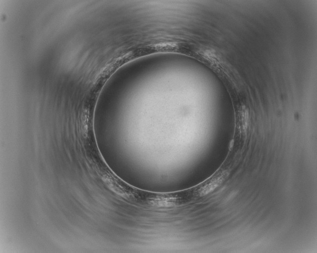 X0000057080664200509091249