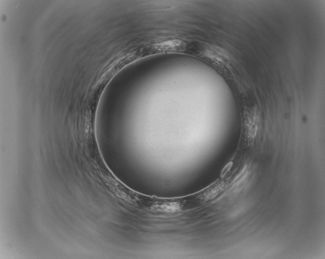 X0000057080665200509091249