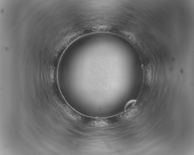 X0000057080668200509091249