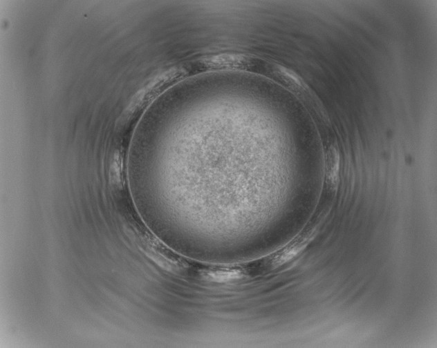 X0000057080669200509091249