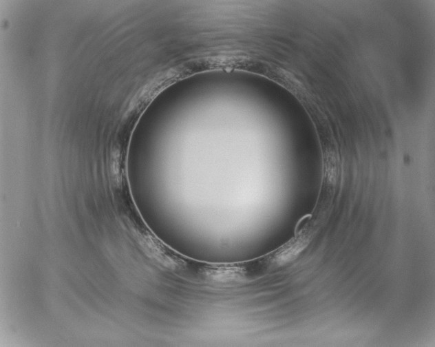 X0000057080670200509091249