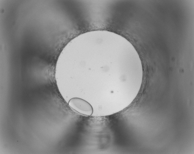 X0000057080672200509091249