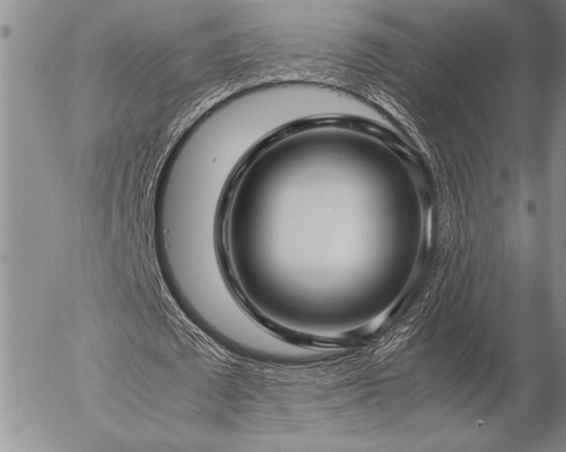 X0000057080673200509091248