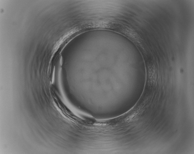 X0000057080674200509091248