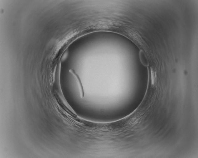 X0000057080675200509091248