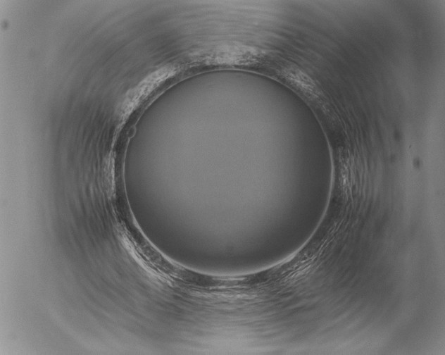 X0000057080678200509091248