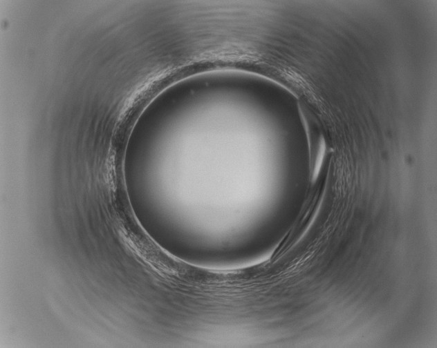 X0000057080680200509091248