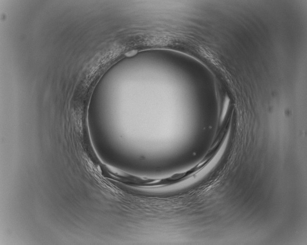 X0000057080681200509091248