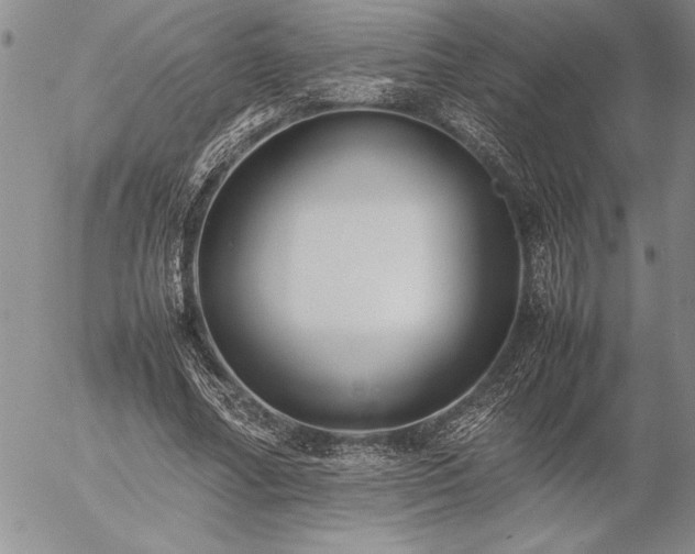 X0000057080682200509091248