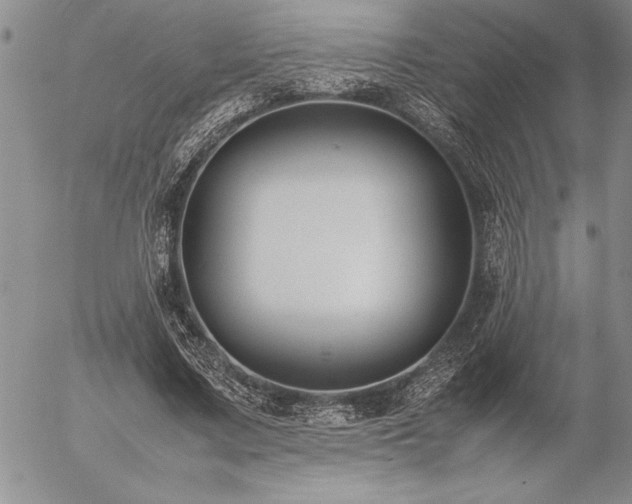 X0000057080683200509091248