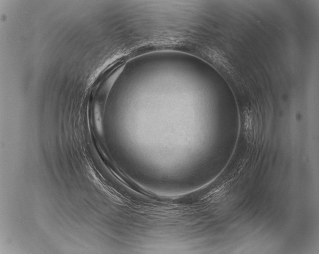 X0000057080684200509091248