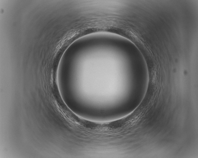 X0000057080685200509091248