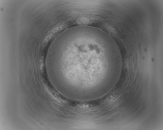 X0000057080687200509091248