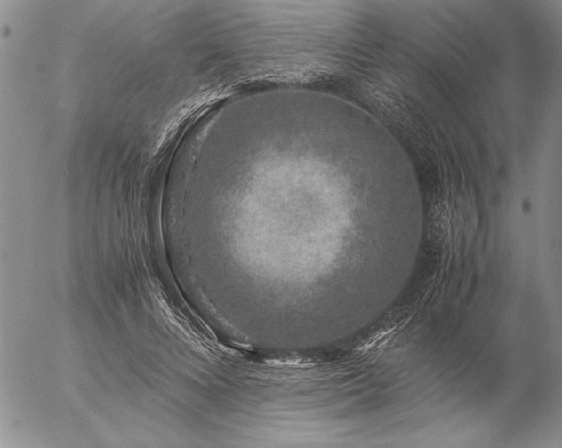 X0000057080688200509091248