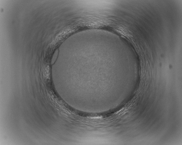 X0000057080689200509091248