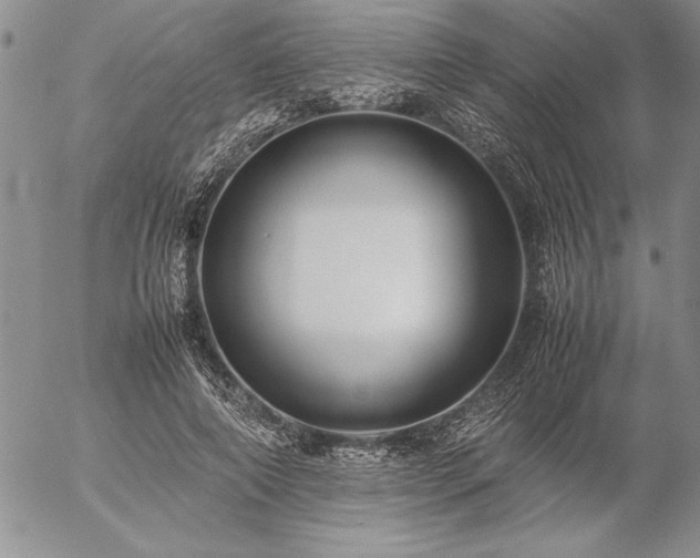 X0000057080690200509091248