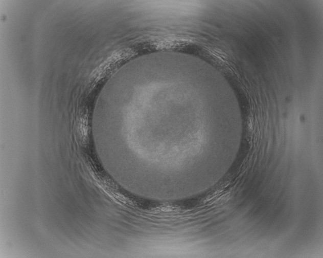 X0000057080691200509091248