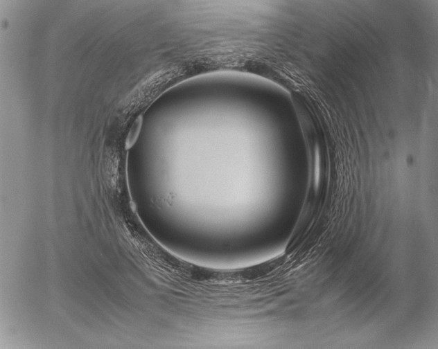 X0000057080693200509091248