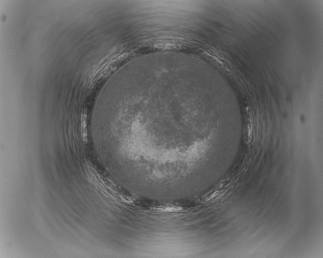 X0000057080696200509091248