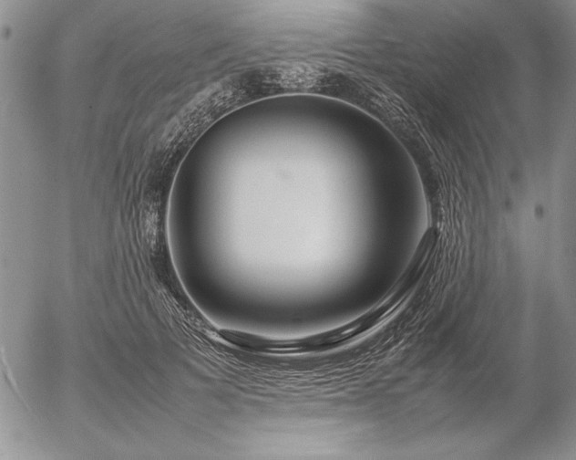 X0000057080697200509091248