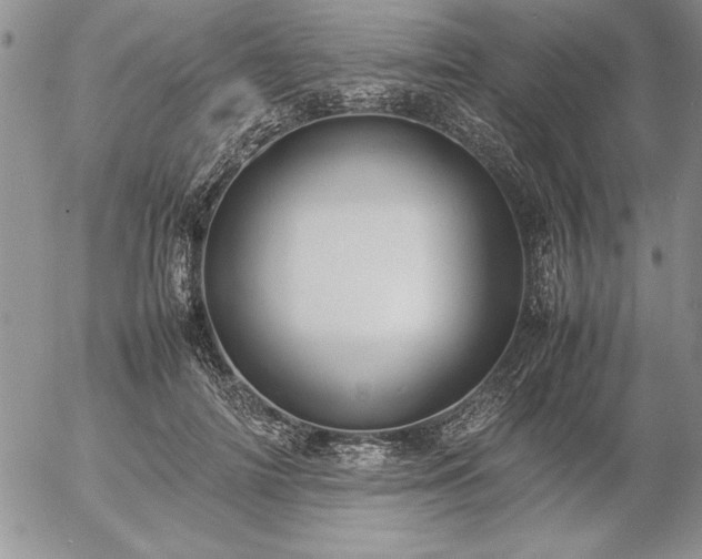 X0000057080698200509091248