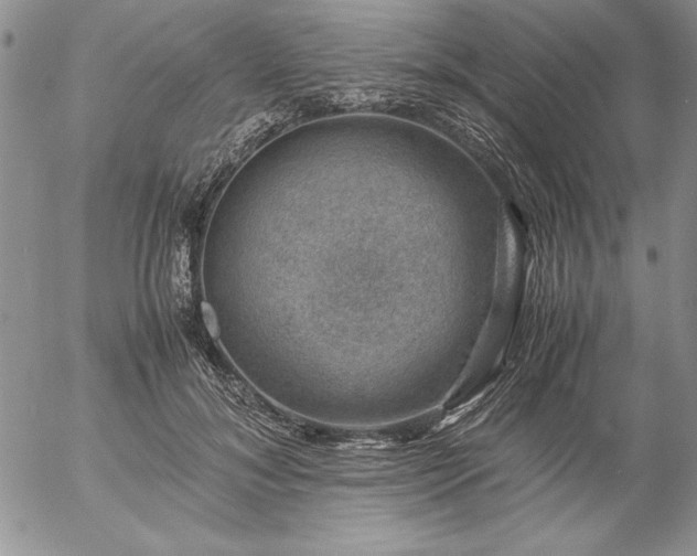 X0000057080700200509091248