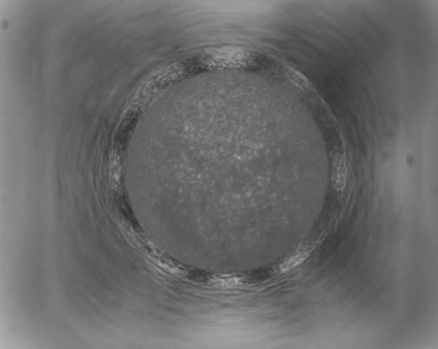 X0000057080701200509091248