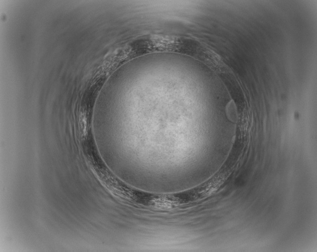 X0000057080703200509091248