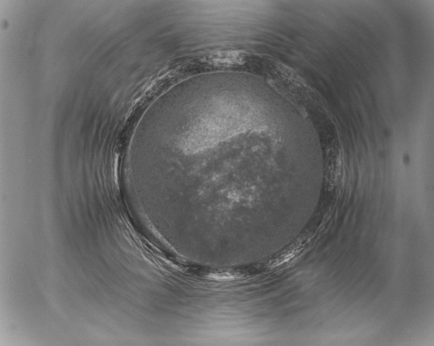 X0000057080704200509091248