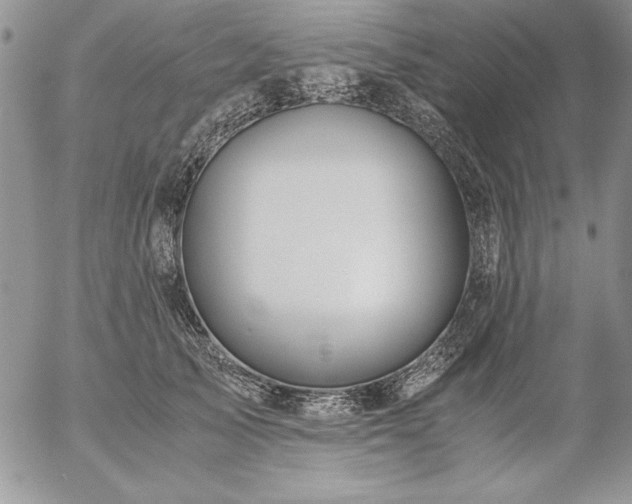 X0000057080705200509091248