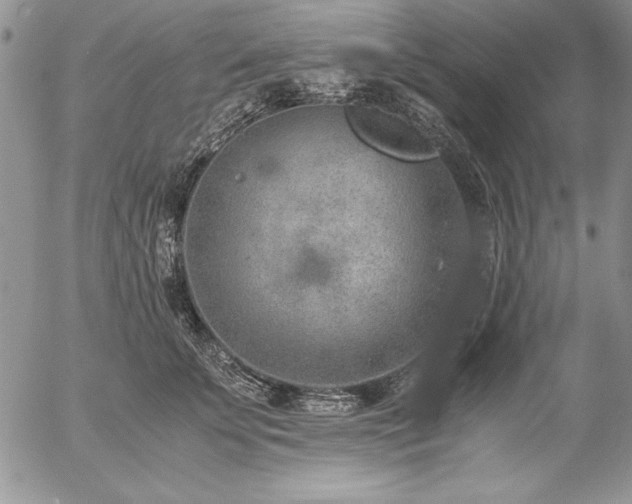 X0000057080707200509091248