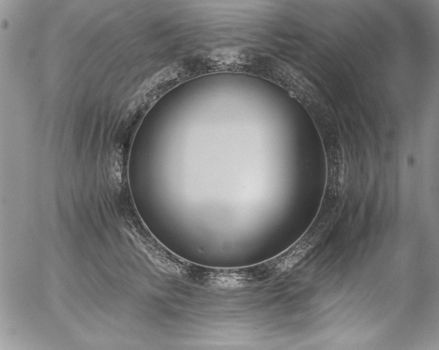 X0000057080710200509091248