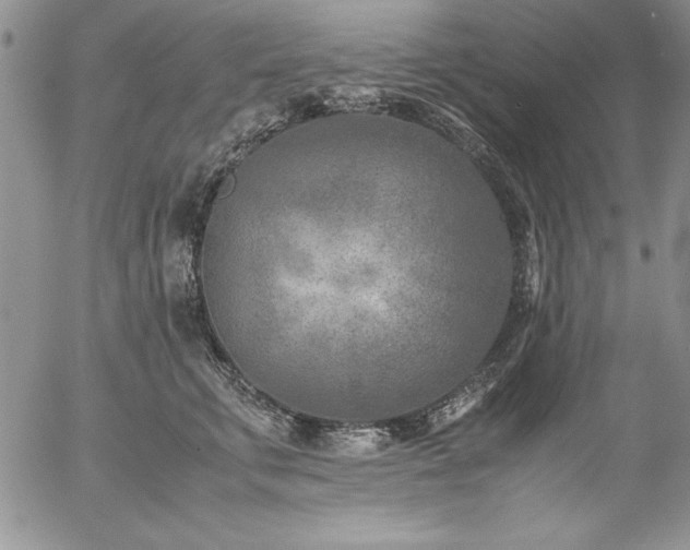 X0000057080711200509091248