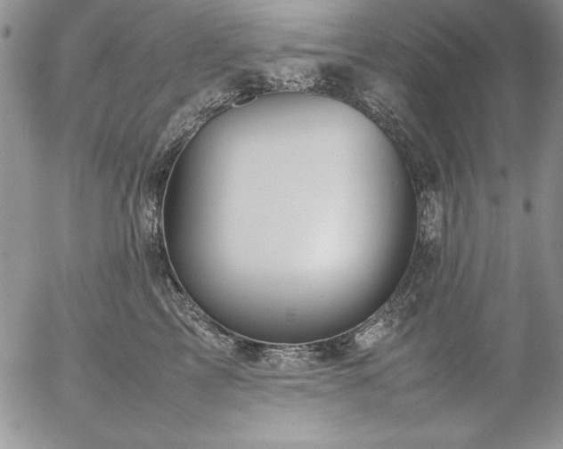 X0000057080713200509091248