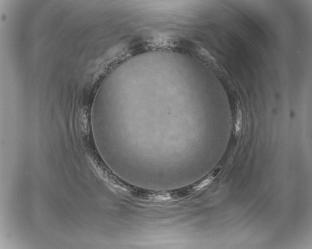 X0000057080715200509091248