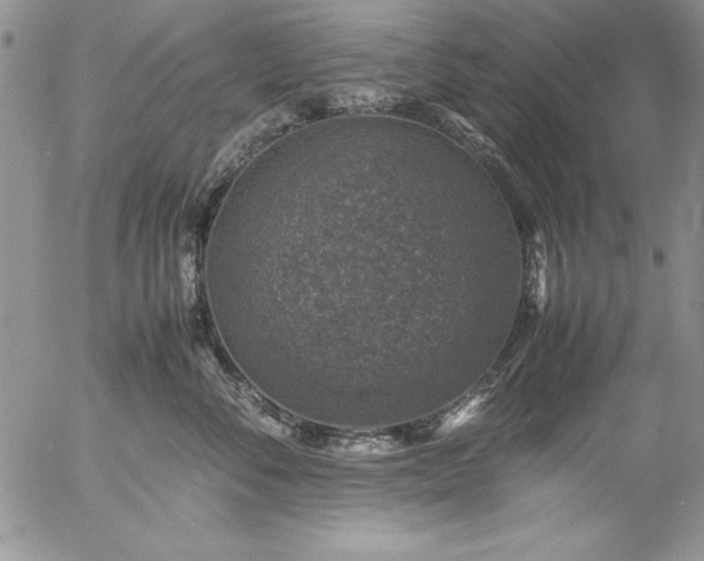 X0000057080716200509091248