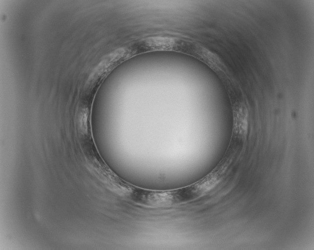 X0000057080717200509091248