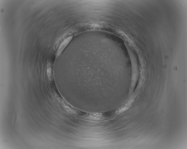 X0000057080720200509091248