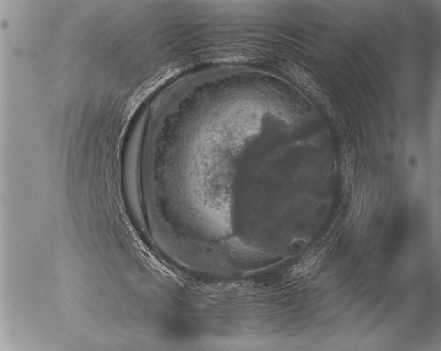 X0000057080721200509091247