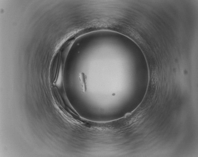 X0000057080722200509091247