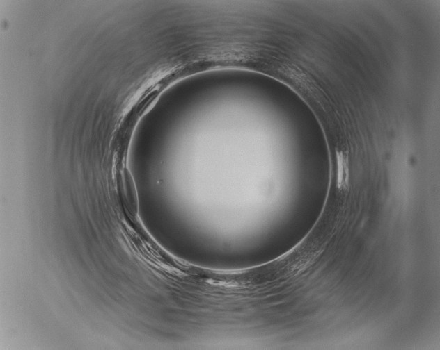 X0000057080723200509091247